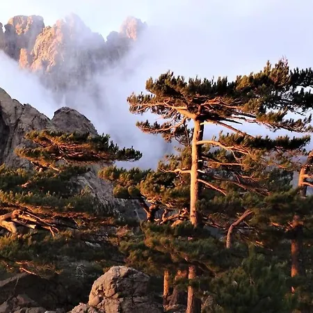 Maison-a-sulana-palombaggia *